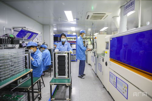 福州新能源產業加速技術研發，構建綠色經濟新引擎